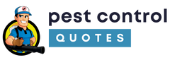 Pest Control in Belleville